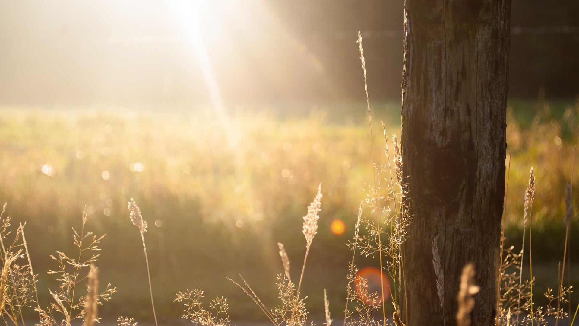 Lorem ipsum dolo Krystal Grand® Cancún All Inclusive Lorem ipsum dolo Krystal Grand® Cancún All Inclusive